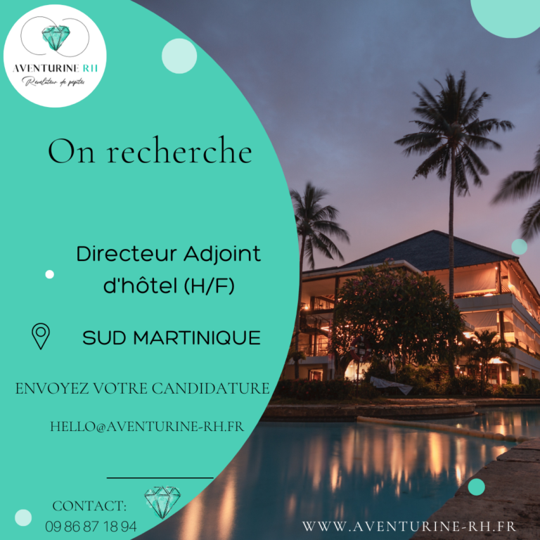 DIRECTEUR ADJOINT (H/F) EN MARTINIQUE