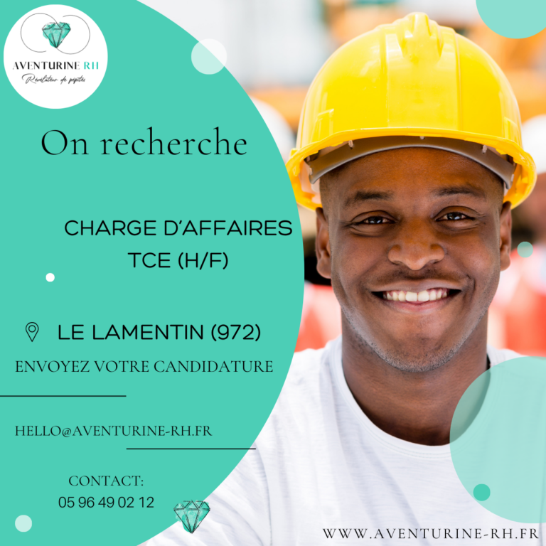 CHARGE D’AFFAIRES TCE (H/F) EN MARTINIQUE
