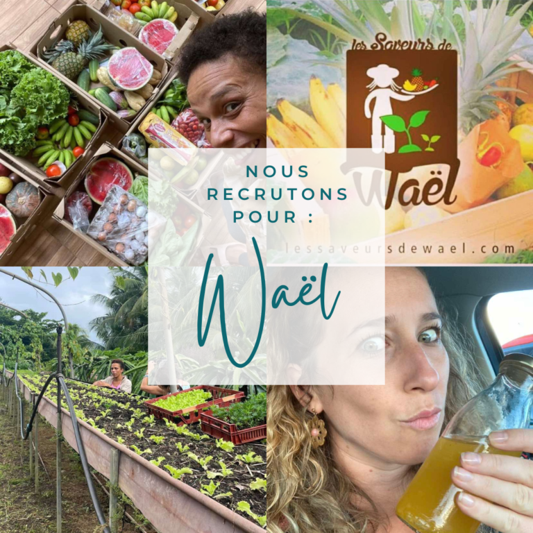 RESPONSABLE DE BOUTIQUE/VENDEUR (H/F) EN MARTINIQUE