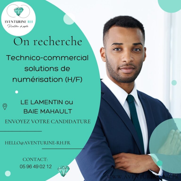 Technico-commercial solutions de numérisation (H/F)