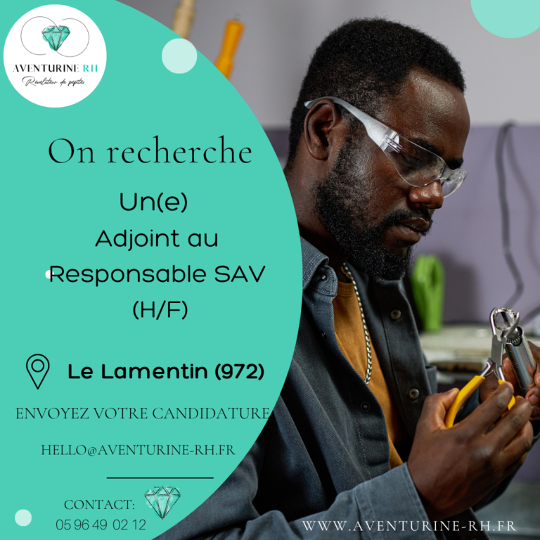ADJOINT AU RESPONSABLE SAV (H/F) EN MARTINIQUE