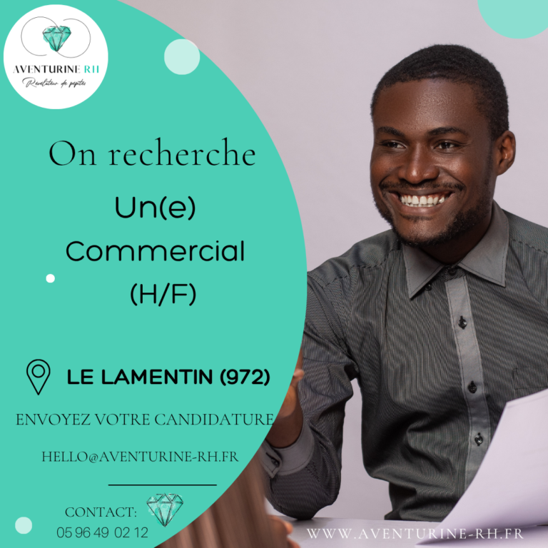 COMMERCIAL (H/F) EN MARTINIQUE