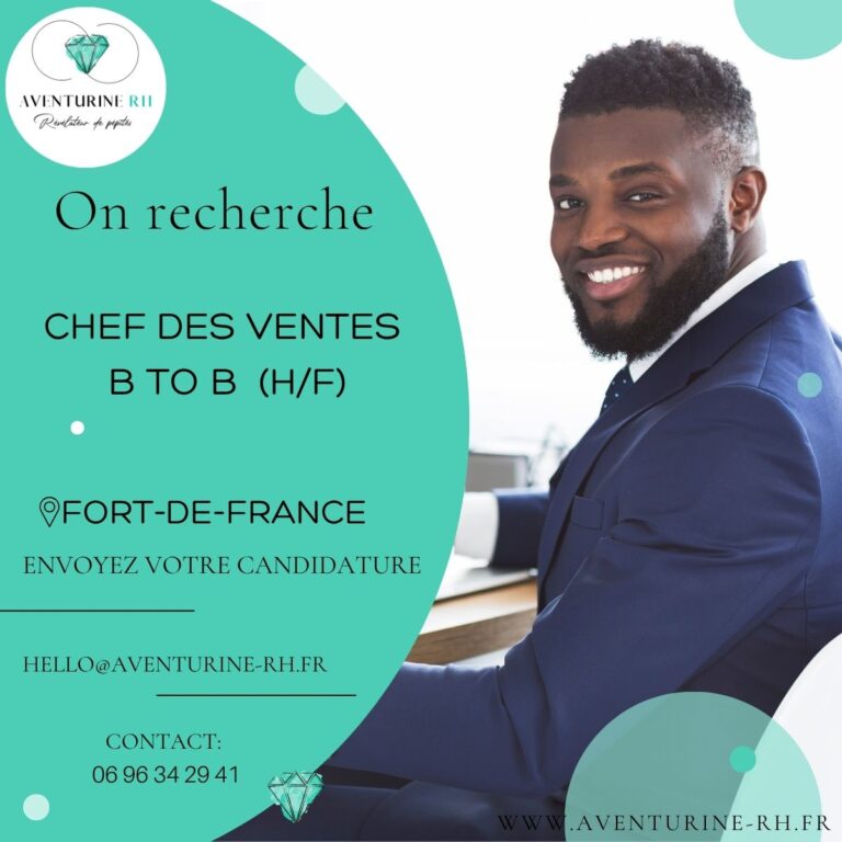 CHEF DES VENTES B TO B  (H/F) A FORT DE FRANCE